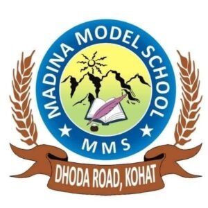 MADINA MODEL SCHOOL & COLLEGE